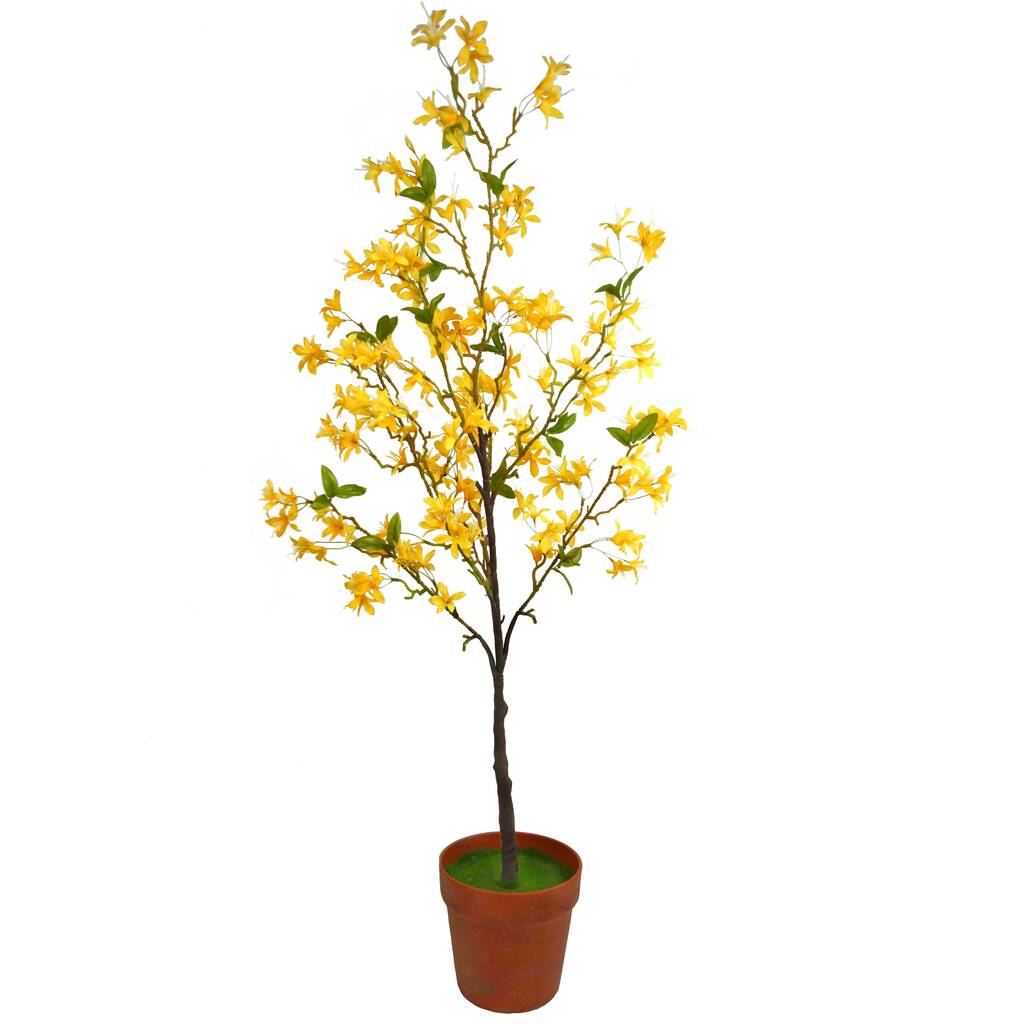 Yellow Forsythia Tree In Pot By Ella James