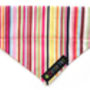 Padstow Deckchair Stripe Dog Collar, thumbnail 4 of 5