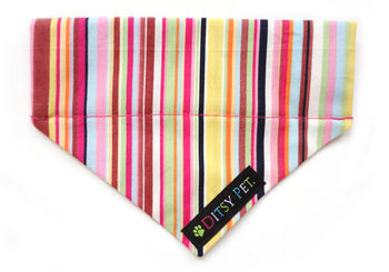 Padstow Deckchair Stripe Dog Collar, 4 of 5