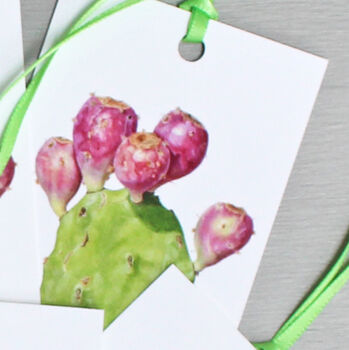 Gift Tags With Prickly Pear Illustration, 4 of 4