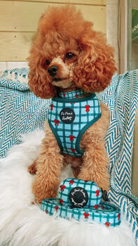 Festive Plaid Christmas Dog Collar, 7 of 9