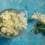 Elderberry Plants, 'Haidegg', thumbnail 6 of 9