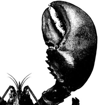 Encyclopaedic Inspired Fine Art Print, Rock Lobster, 3 of 11