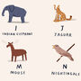 The Animal Alphabet Personalised Print, thumbnail 3 of 7