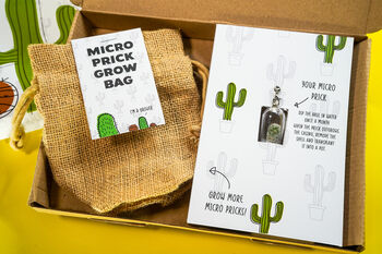 Grow Micro Pricks Mini Cactus Kit, 3 of 6