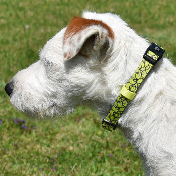 Yellow Tennis Ball Dog Collar, 4 of 8
