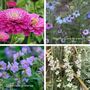 2026 Wall Calendar A5 Opens To A4, Grow Your Own Flower Garden Wall Seed Calendar, thumbnail 8 of 10