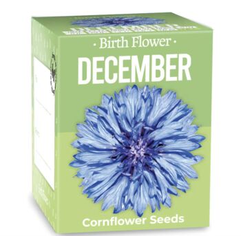 Grow Your Own Birth Flower, 3 of 6