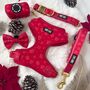 'Ho Ho Ho' Full Dog Harness Christmas Set, thumbnail 1 of 6