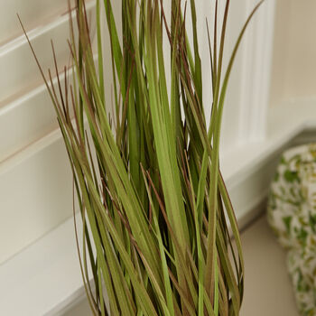 Potted Faux Bluestem Grass Plant, 3 of 3