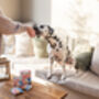 Its The Dogs Peanut Butter Balls, thumbnail 5 of 5