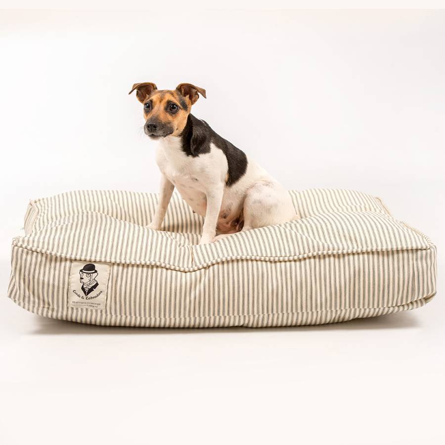 dog crate cushion bed by lords & labradors