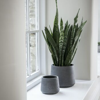 Set Of Two Tapered Cement Plant Pots, 2 of 2