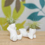 Mini Ceramic Figure Plant Holder With Air Plant, thumbnail 1 of 4