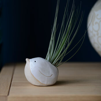Bird Air Plant Holder In Off White, 4 of 12