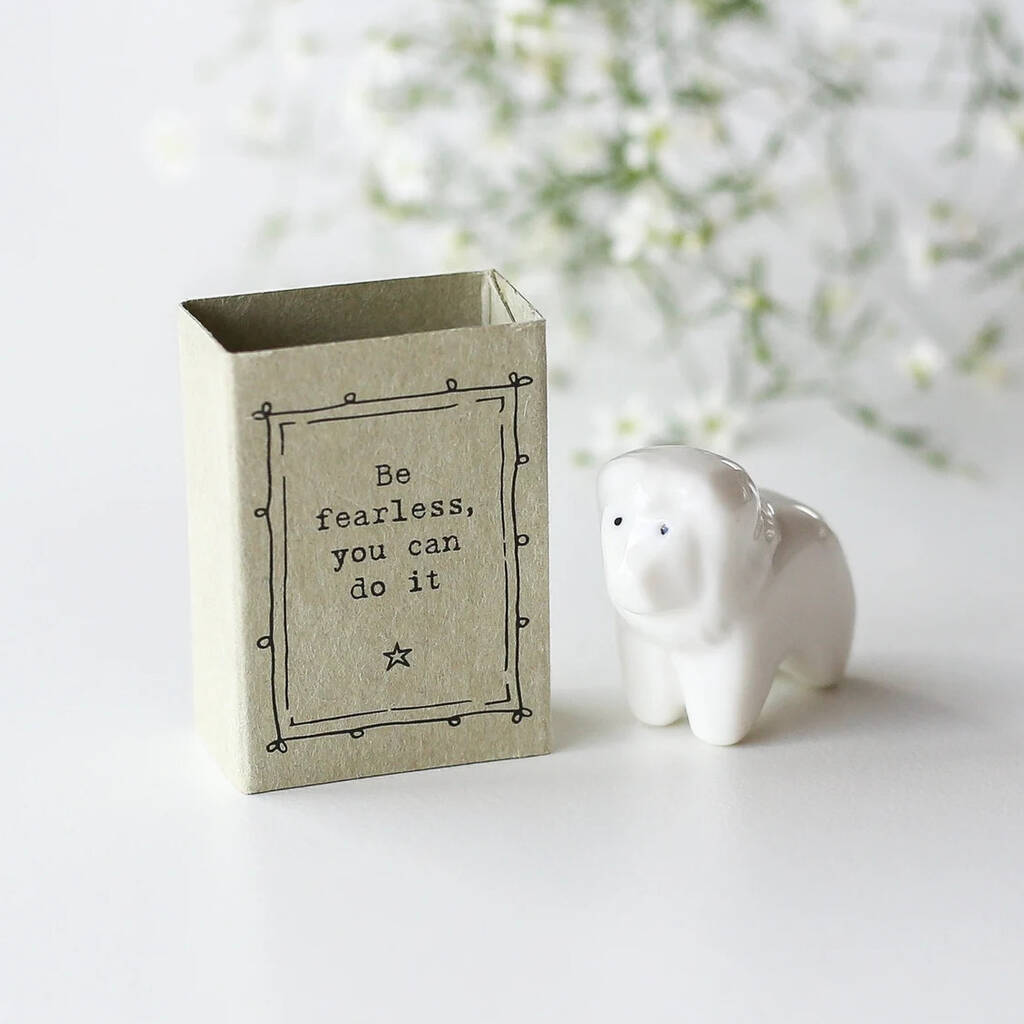 Porcelain Lion Matchbox Gift, Be Fearless You Can Do It, 1 of 3