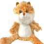 Mini Ginge Cuddly Companion Cat Soft Toy, Gift Box, thumbnail 3 of 7