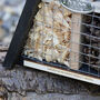 Father's Day Wildlife Insect Hotel, thumbnail 2 of 6