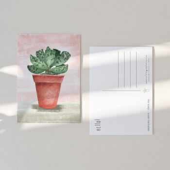Set Of 10 'Special Species' Plant Lovers Postcards, 3 of 12
