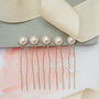 Set Of Five Big Pearl Bridal Hair Pins, thumbnail 1 of 4
