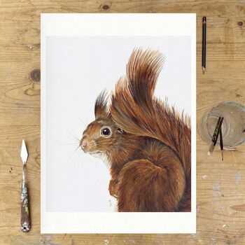 English Red Squirrel, Print Of Original Painting, 3 of 3