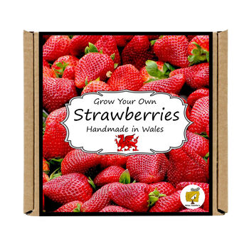 Gardening Gift. Strawberries Growing Kit, 4 of 4