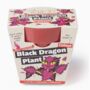 Childs Grow Your Own Dragon Plant, thumbnail 3 of 5