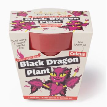 Childs Grow Your Own Dragon Plant, 3 of 5