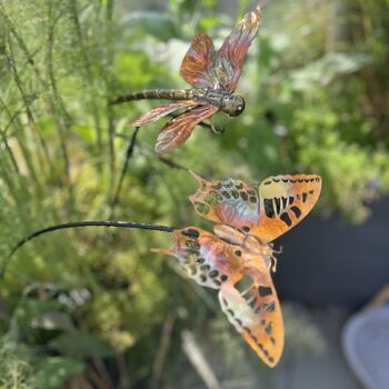 Set Of Two Copper Insect Garden Stakes – Butterfly And Dragonfly On Curved Poles, 2 of 7
