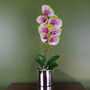 Pink Artificial Orchid Silver 46cm Harlequin Real Touch, thumbnail 1 of 3