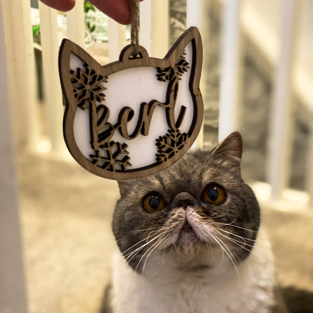 Personalised Cat Christmas Decoration, 1 of 2
