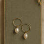 Freshwater Pearl Hoop Earrings ‘Olivia’ – Gold Or Silver Minimalist Bridal Earrings, thumbnail 4 of 9