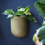 Olive Green Ceramic Wall Planter, thumbnail 3 of 5