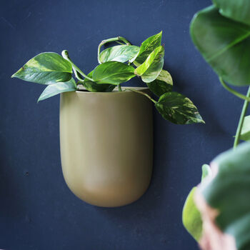 Olive Green Ceramic Wall Planter, 3 of 5
