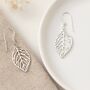 Recycled Sterling Silver Leaf Drop Earrings – 39mm, thumbnail 1 of 6