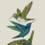 'Antique Hummingbirds Iii' Fine Art Print, thumbnail 2 of 4