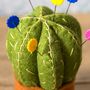 Cactus Pincushion Mini Kit, thumbnail 3 of 4