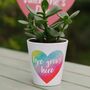 Love Grows Here Plant Pot : Valentine's Day Gift, thumbnail 1 of 2