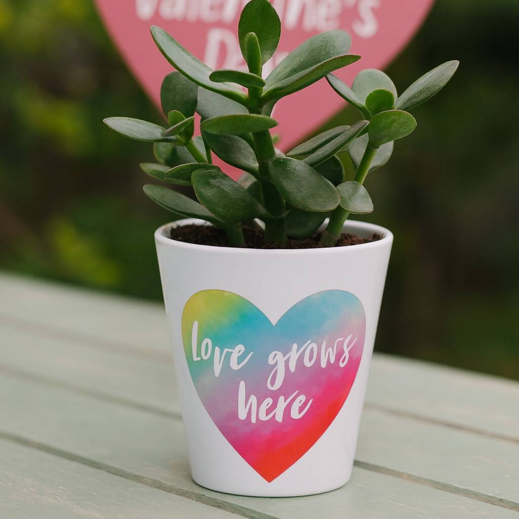 Love Grows Here Plant Pot : Valentine's Day Gift, 1 of 2