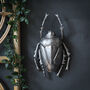 Silver Decorative Wall Beetle, thumbnail 2 of 2