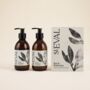 Gift Set Bay And Rosemary Hand Soap And Lotion, thumbnail 1 of 3