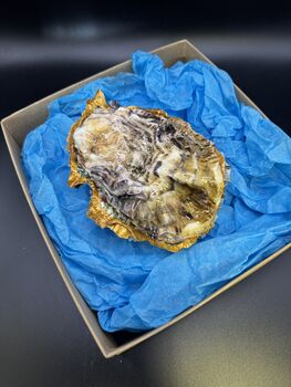 William Morris Oyster Shell, 3 of 3