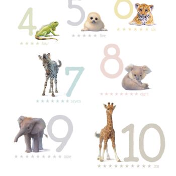 Illustrated Animals Number Print, 3 of 4