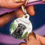 Personalised Foggy Forest Dog ID Tag, thumbnail 1 of 12