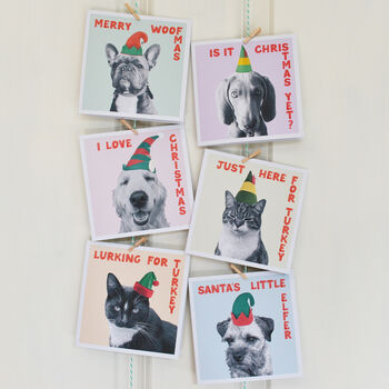 Christmas Pets Dogs And Cats Card Pack, 2 of 9