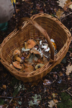 Short Guided Foraging Walk For Two In The South Downs, 7 of 12
