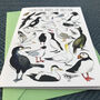 Coastal Birds Of Britain Art Blank Greeting Card, thumbnail 5 of 11