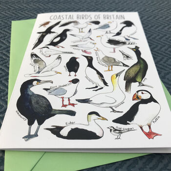 Coastal Birds Of Britain Art Blank Greeting Card, 5 of 11