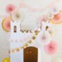 Princess Crowns And Pom Pom Tulle Banner Set, thumbnail 5 of 5