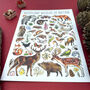 Woodland Wildlife Of Britain Watercolour Postcard, thumbnail 8 of 12